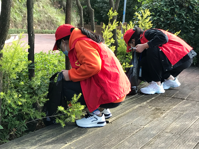 6.png 6.png