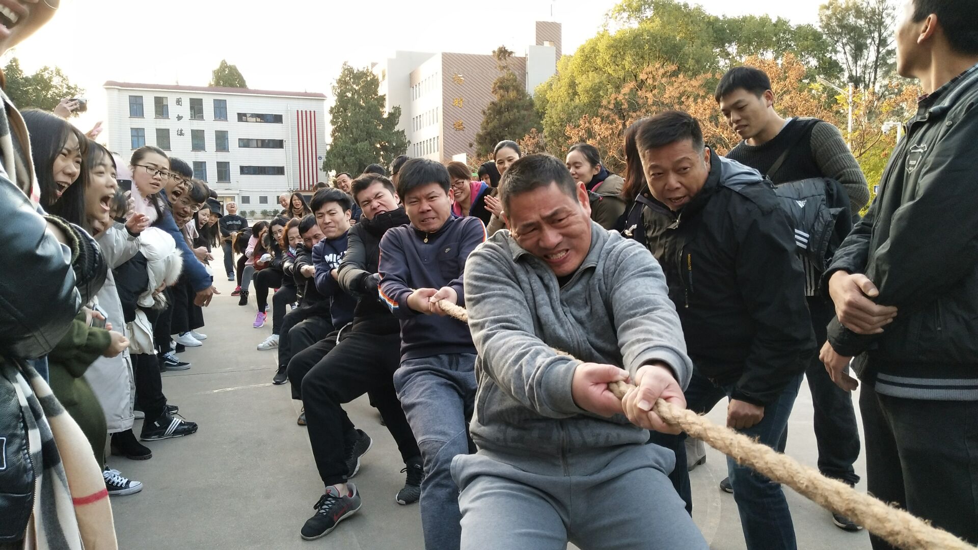 QQ图片20180115143854.jpg